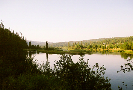 [A very frothy river with rocks on either side and many tall evergreens along the sides.]